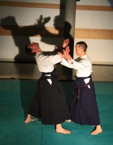 dirigeant-jujitsu